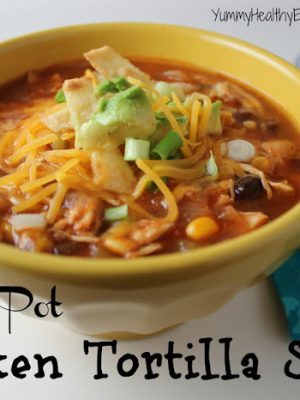 Healthy Chicken Tortilla Soup cooked right in the crock pot for an easy and delicious dinner! Tender chicken, beans and corn in a flavorful broth served with homemade crispy tortilla strips. Yum!
