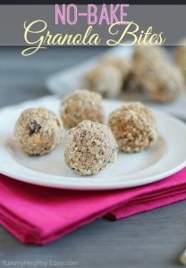 No-Bake Granola Bites No-Bake Granola Bites