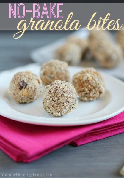 No-Bake Granola Bites