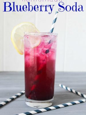 Homemade Blueberry Soda