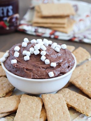Yummy S'mores Dessert Dip using only 3 simple ingredients! Perfect for dunking graham crackers in.