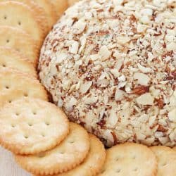A super easy cheese ball that's sure to impress any guests! It's creamy, tangy, irresistible and won't take more than a few minutes to whip up.