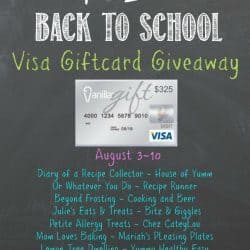 $325 Visa Gift Card Giveaway!
