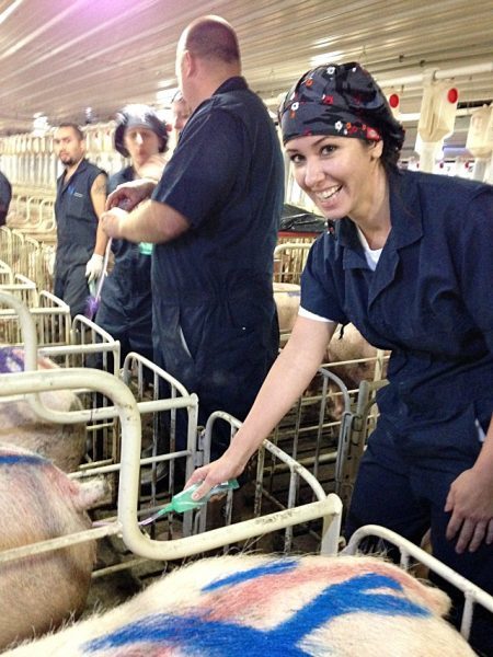 Helping with the AI (Artificial Insemination) process. Eek!!