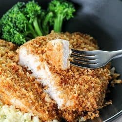 Tender, Flavorful Crispy Baked Breaded Pork Chops