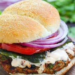 Chicken Fajita Burgers with Chipotle Mayo!